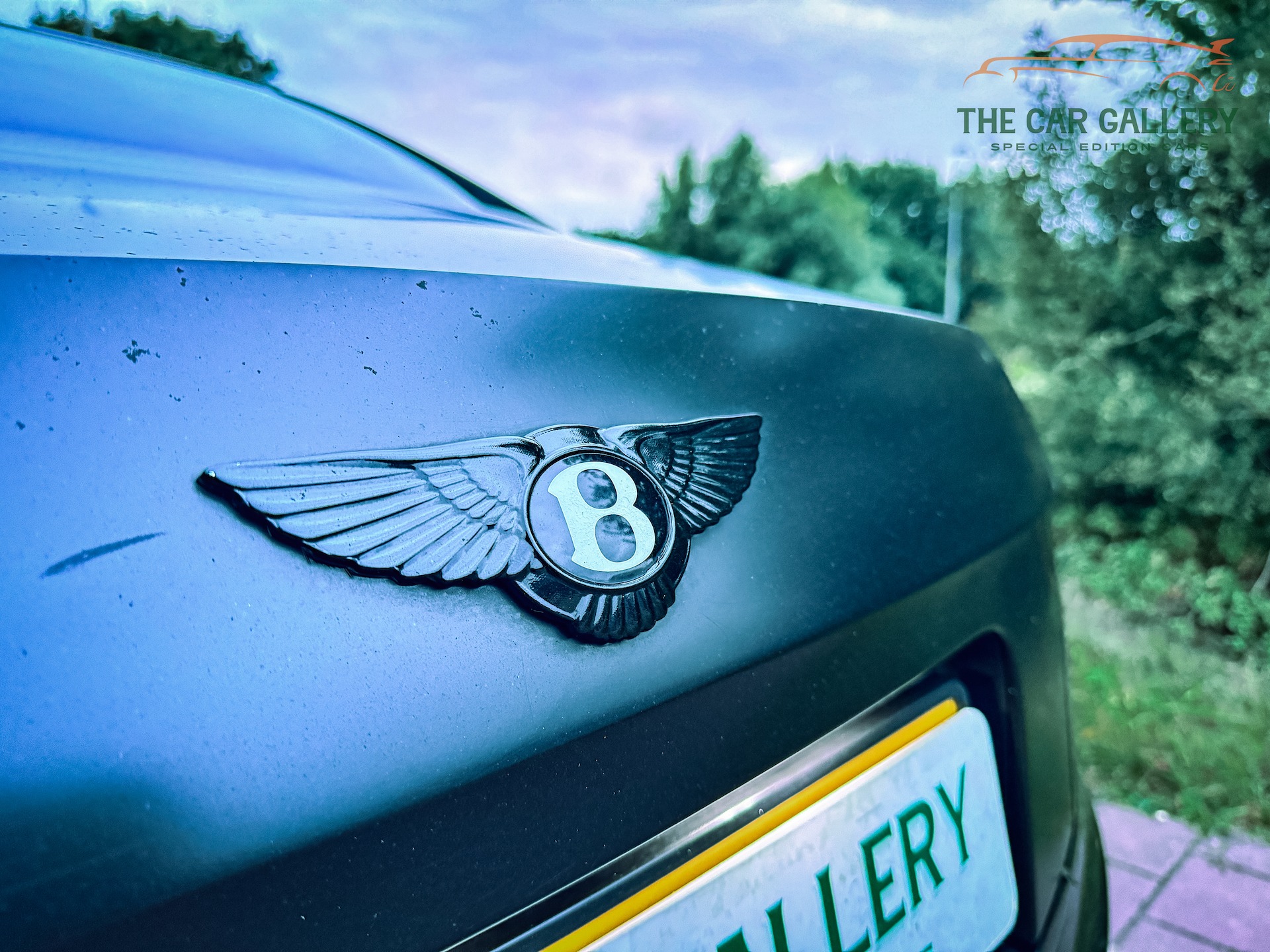 Gallery gallery_images_3_5_17600036651027270196.jpg  | The Car Gallery