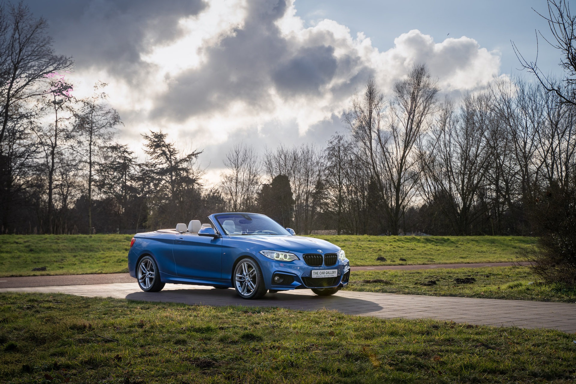 Header header_images_0_17600019431898771567.jpg Home | The Car Gallery